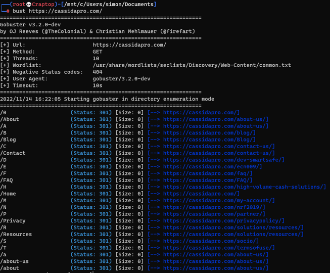 Gobuster output